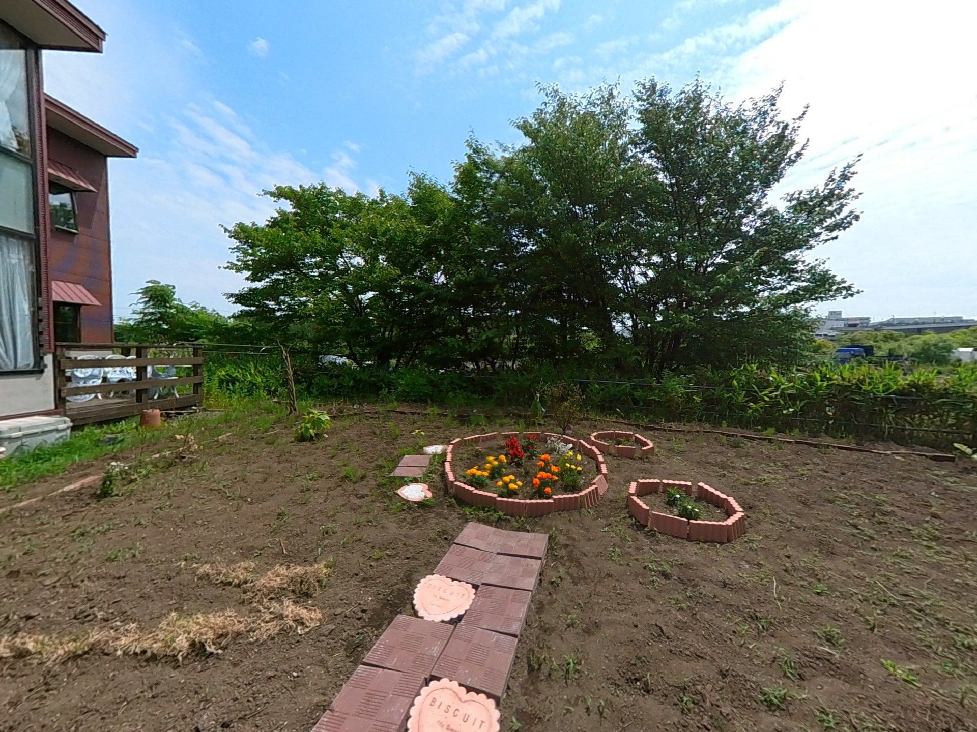 四季折々の花が咲く庭