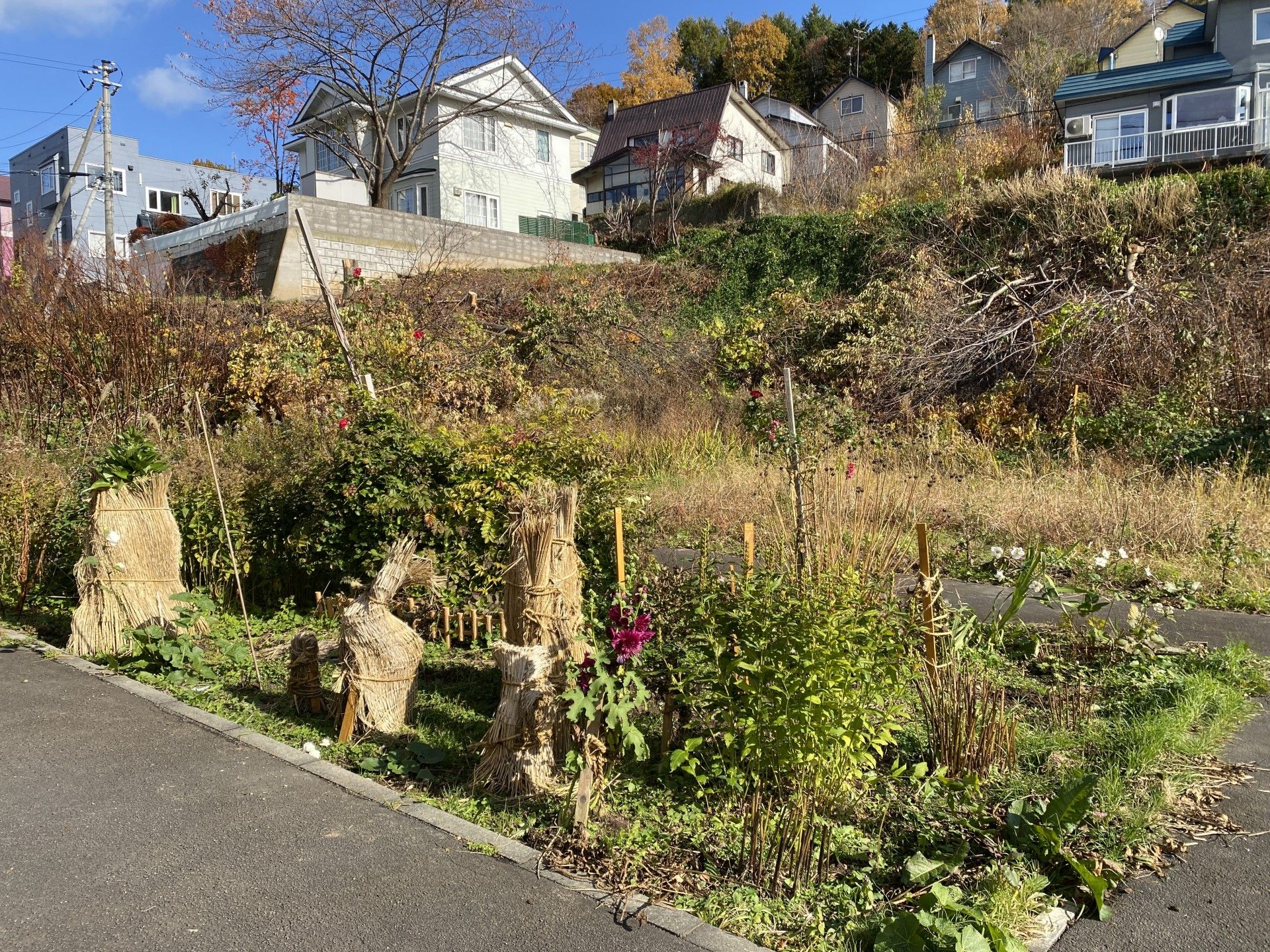 自然豊かな庭園風景