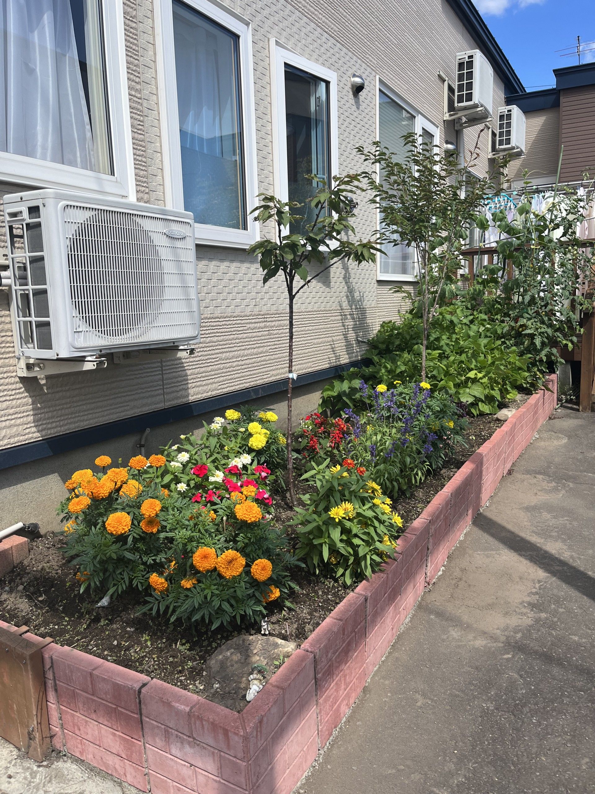 手入れのされた花壇