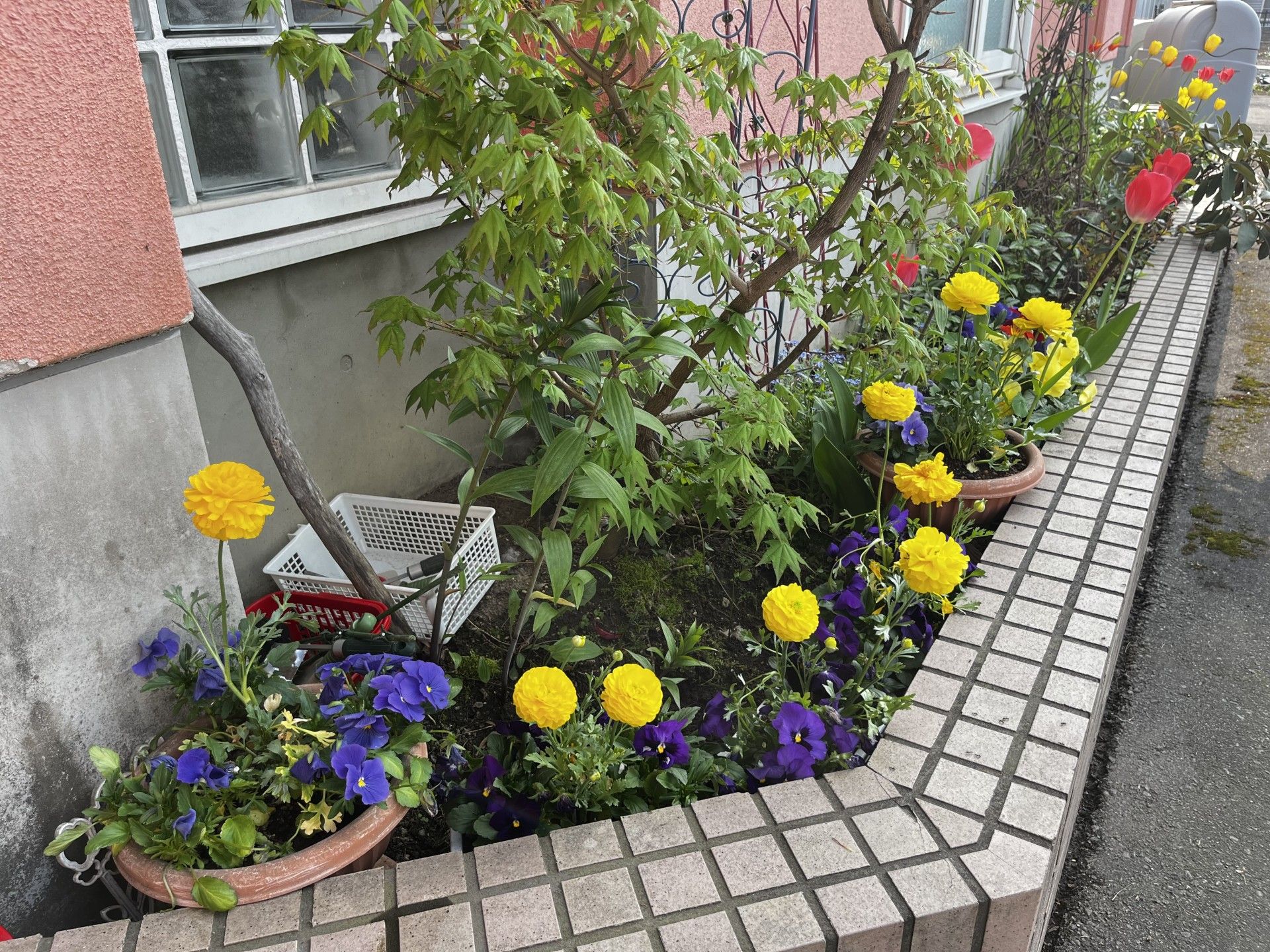 色とりどりの花壇