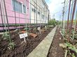 野菜が育つ庭の通路