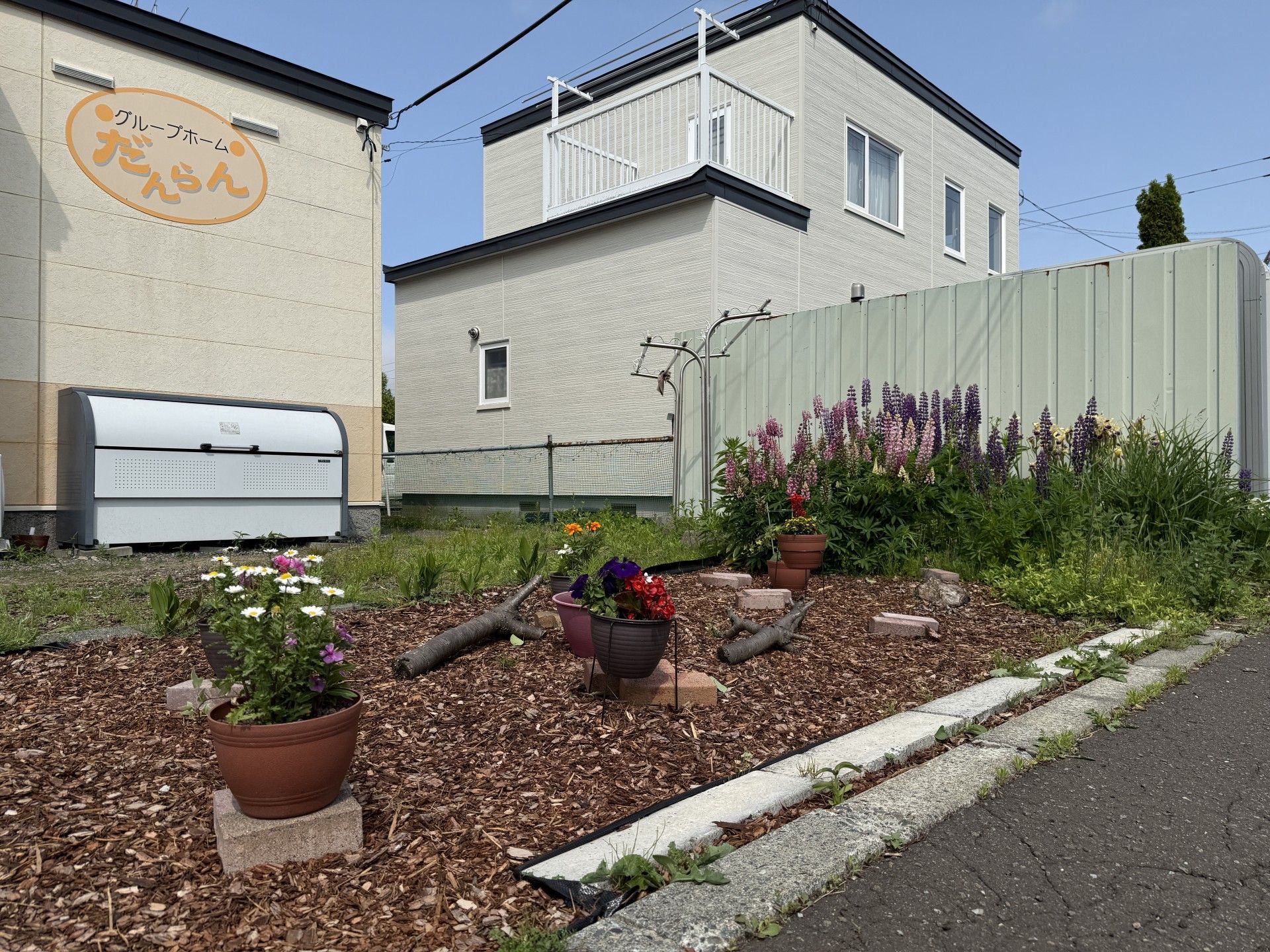 色とりどりの花壇