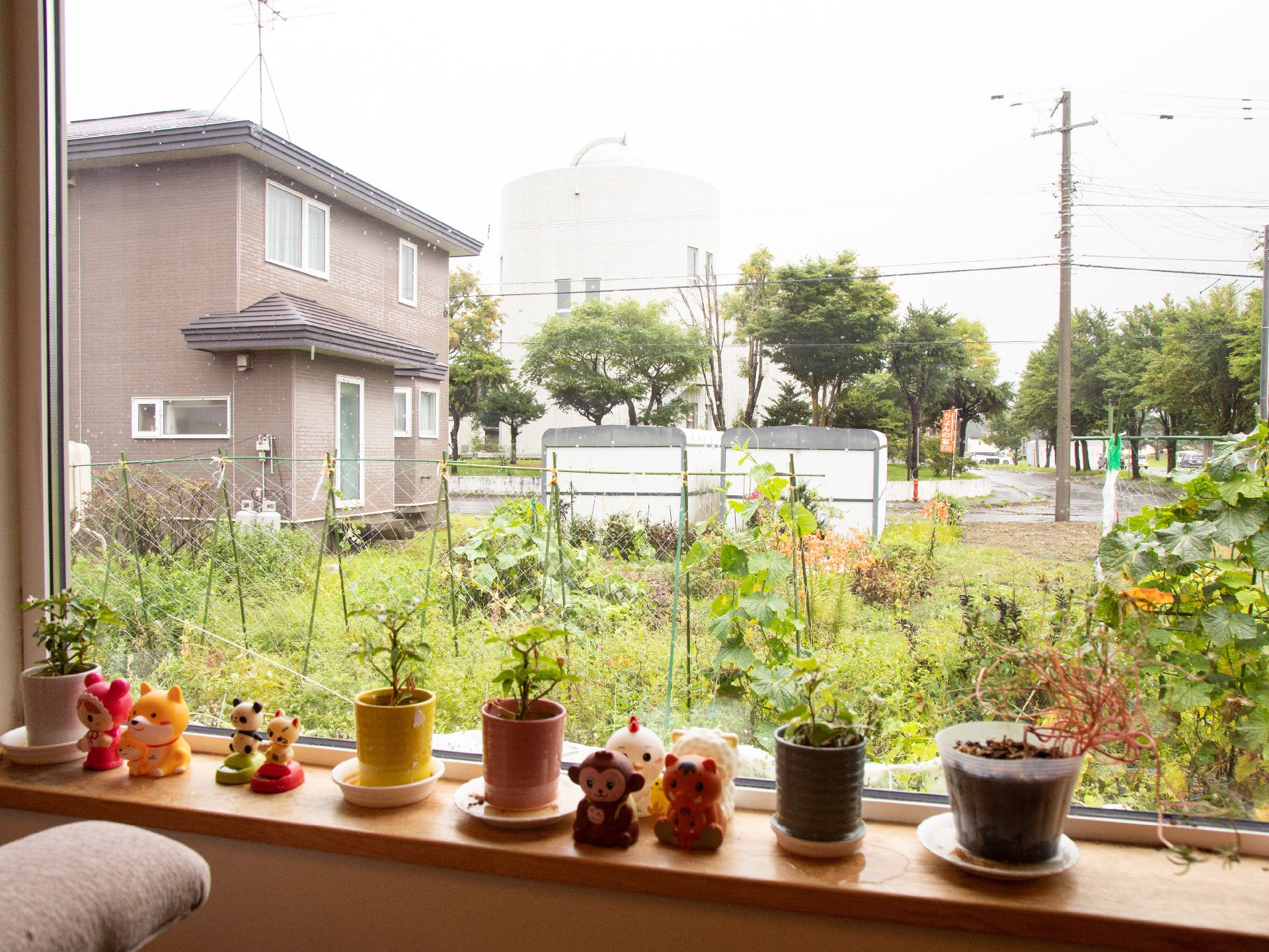 小さな植木鉢が置かれた窓際から見える菜園スペース