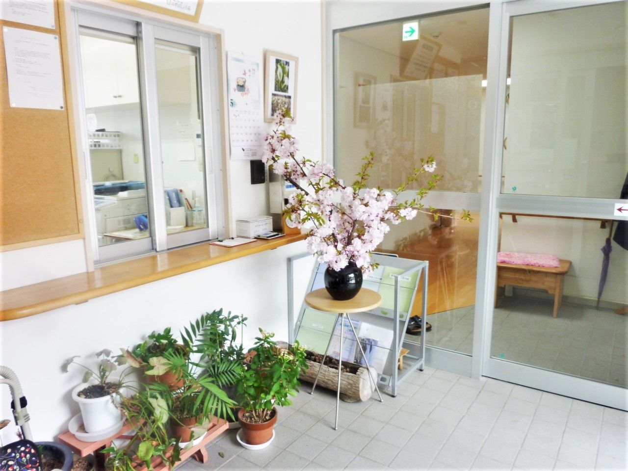 施設のエントランス付近に花や植物が置いてある様子。バリアフリーのエントランス