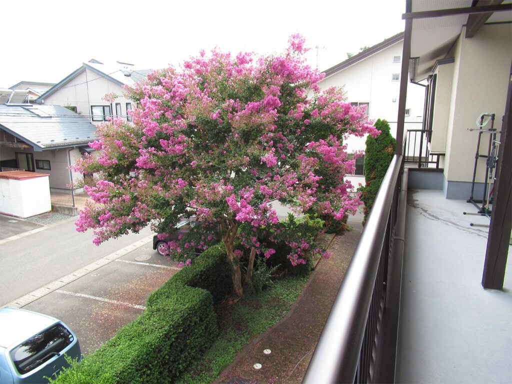 花が咲くベランダの景色