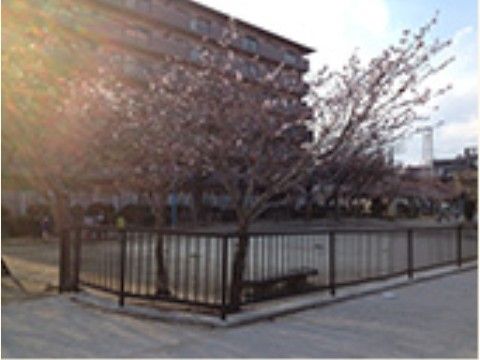 近隣には広いグラウンドが併設された公園がある。そこには梅の木などの木々が植樹されており、春先には桃の花を眺めることができる。