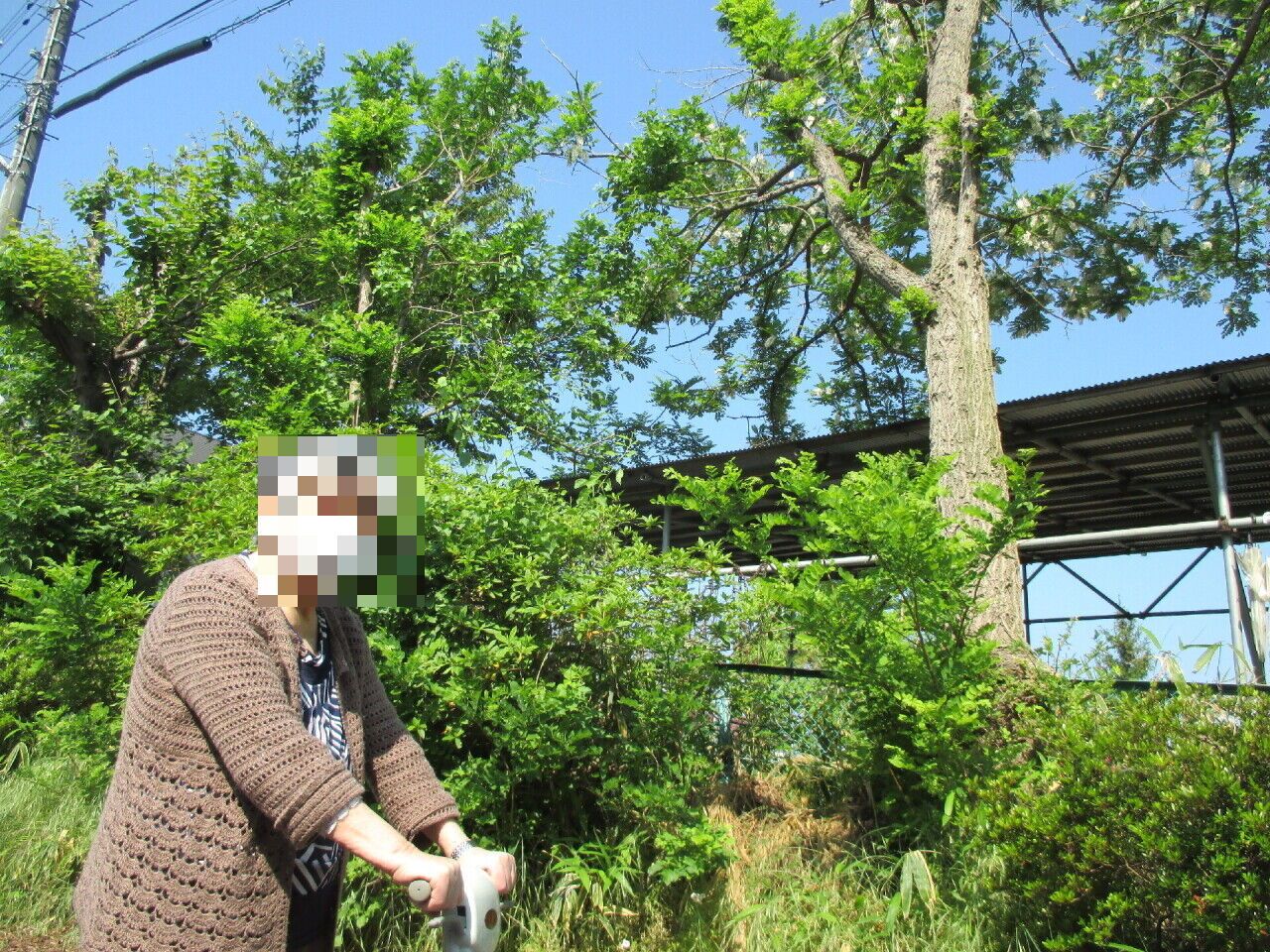 散策中の高齢者と自然