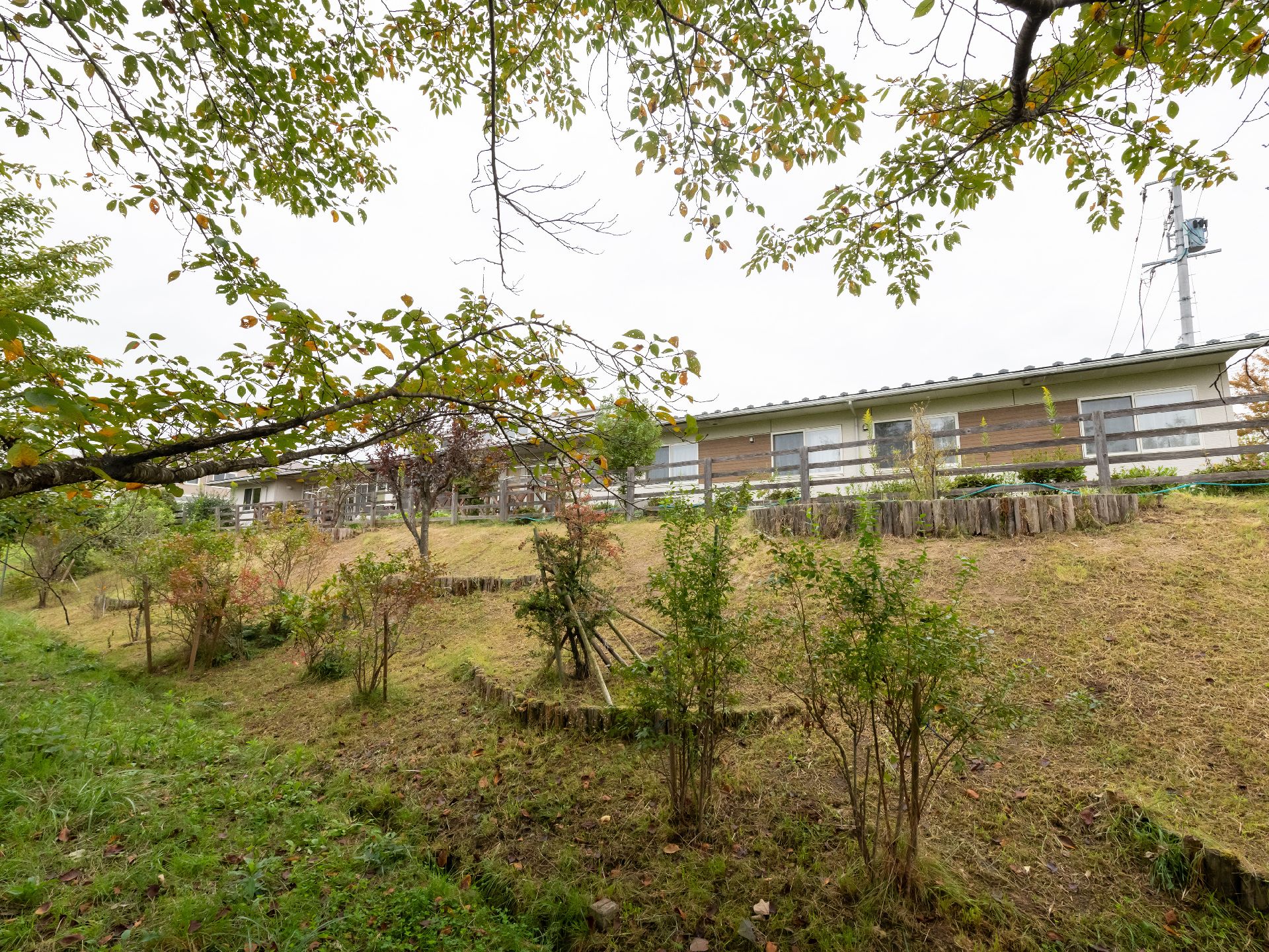 介護施設の周辺にある野原