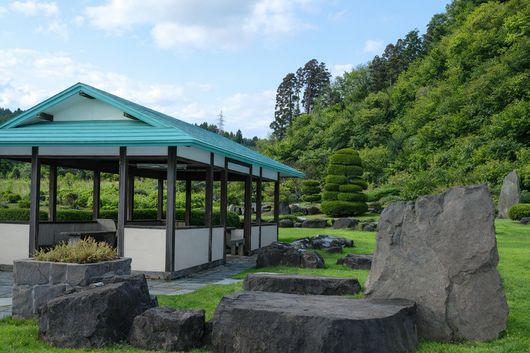 庭