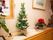 棚の上にはクリスマスツリーや真っ赤なシクラメンの花が飾られている。エントランスは華やかな賑わいになっている。