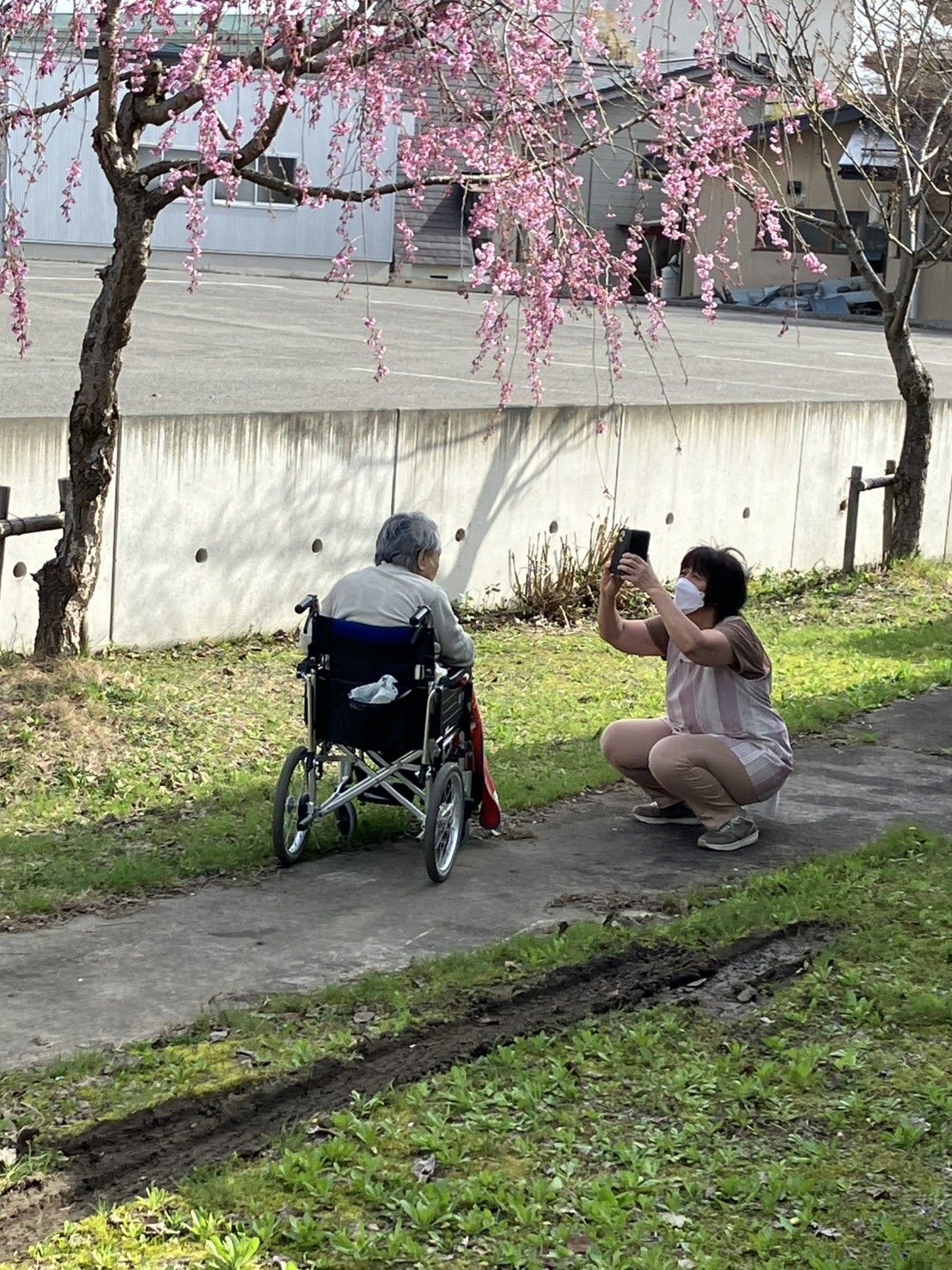 桜の下でのひととき