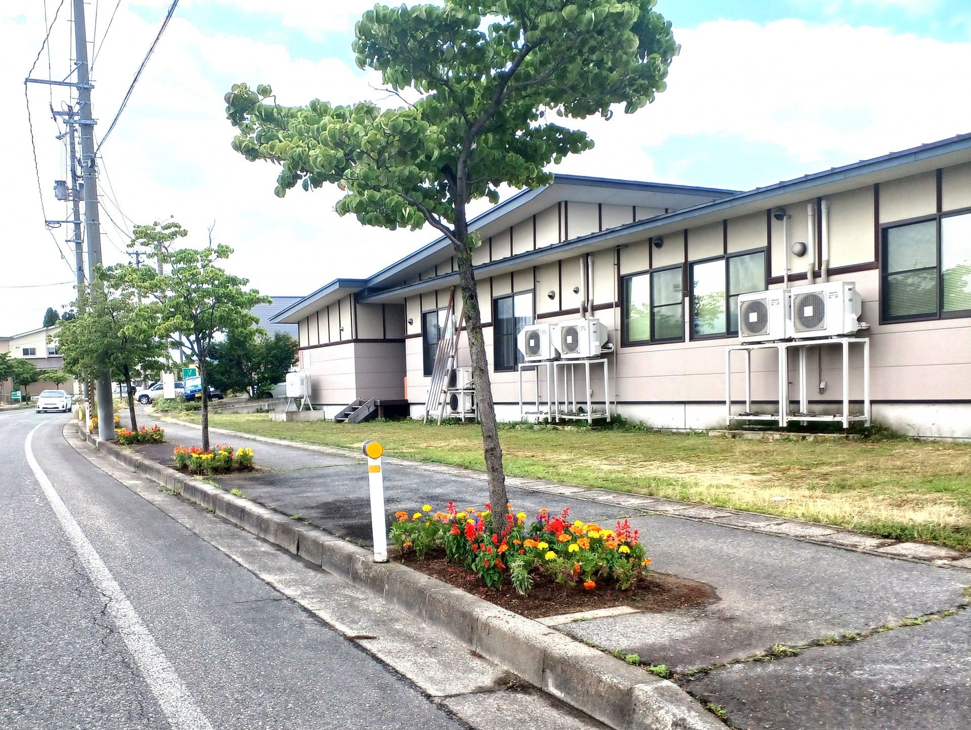 花壇と木が並ぶ外観