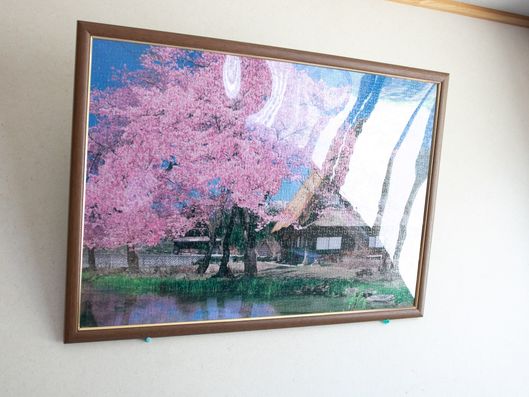 掲示物