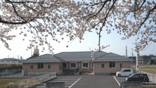 桜並木の建物外観