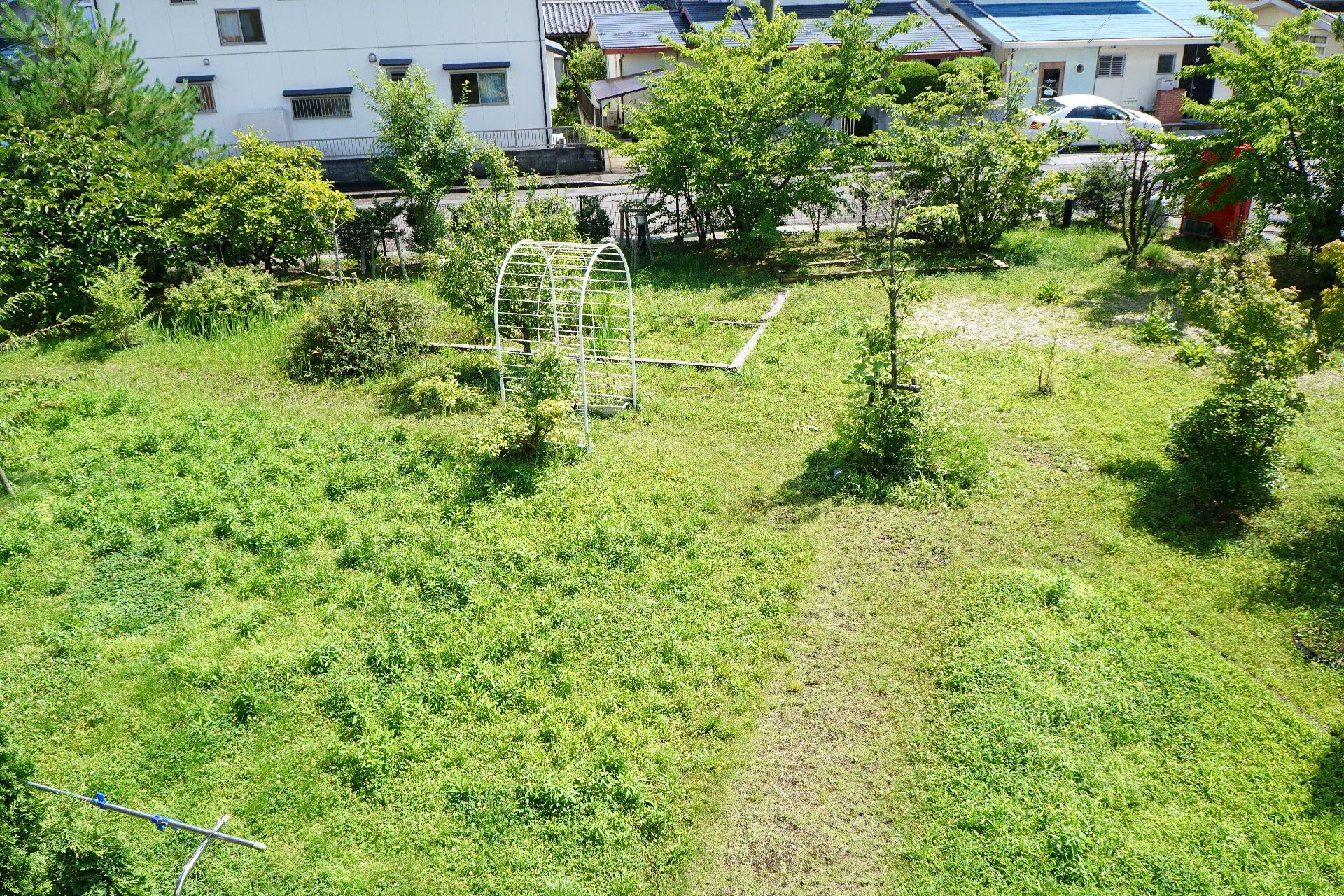 木々や草により緑があふれ、散歩コースが作られている中庭