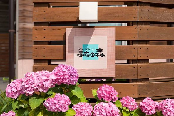 紫陽花と木製サイン