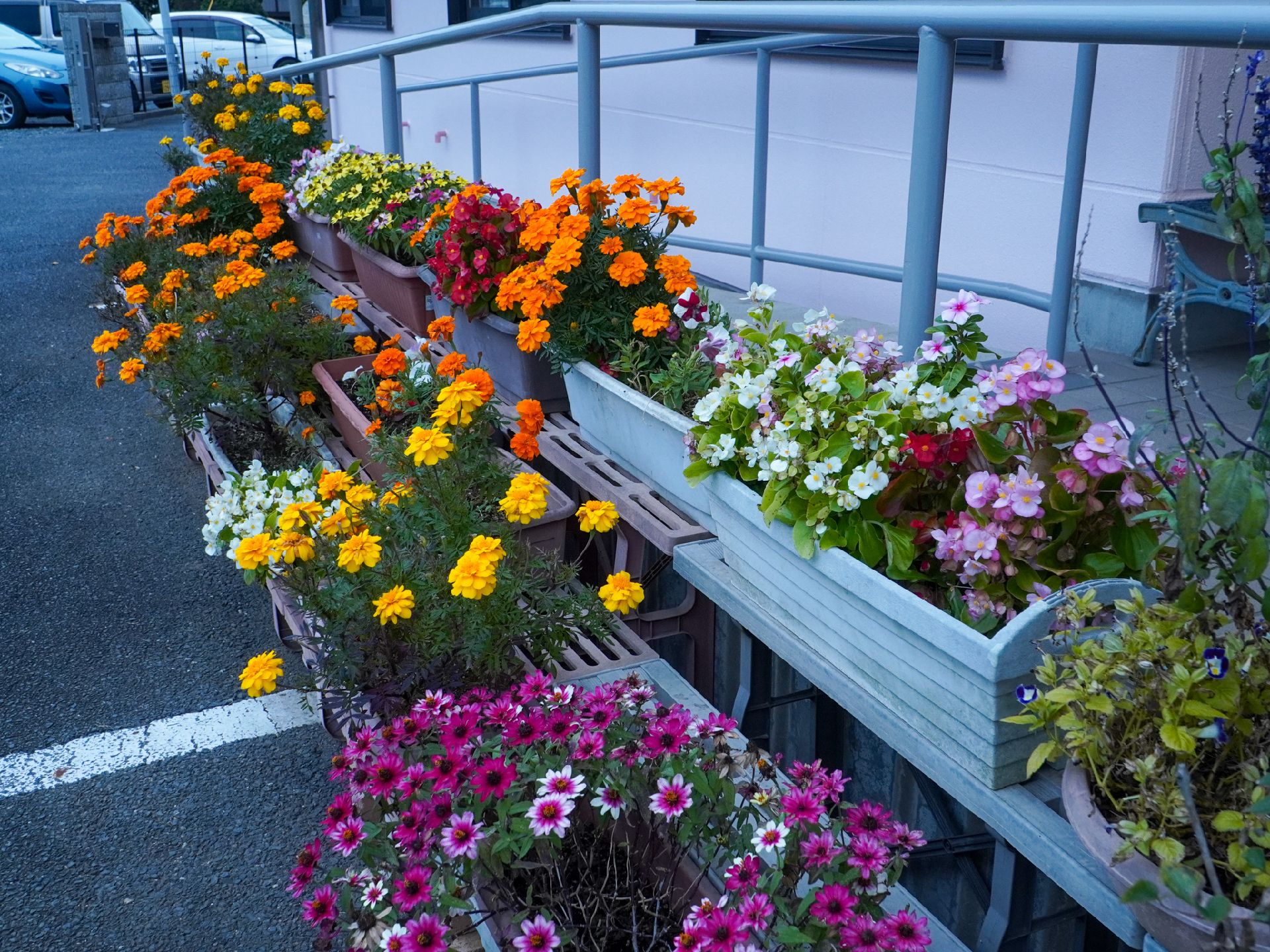 陽ざしの良い場所で何かを見つめている高齢女性と介護スタッフ。やわらかい表情のふたり - コピー