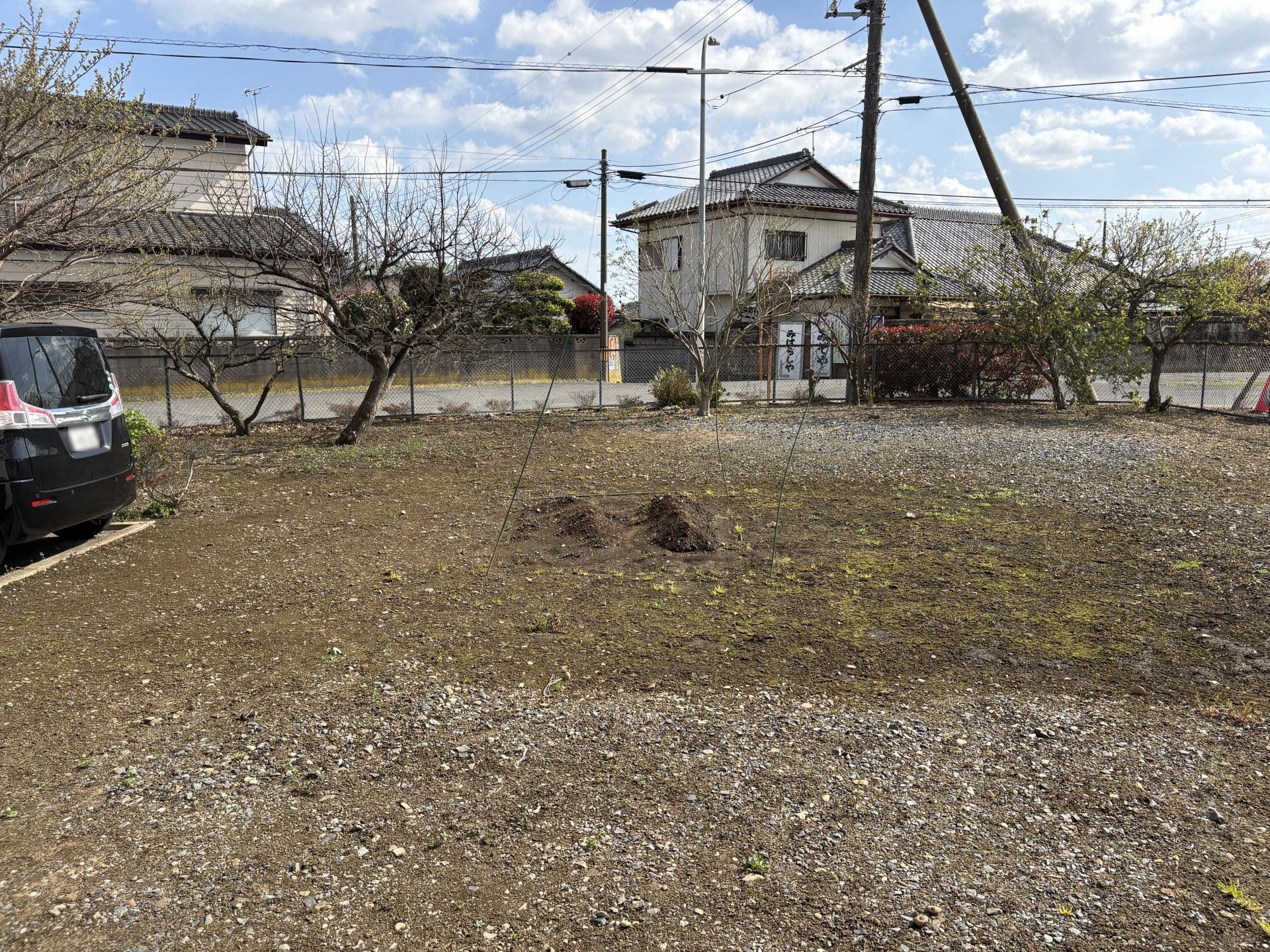 広い庭の風景