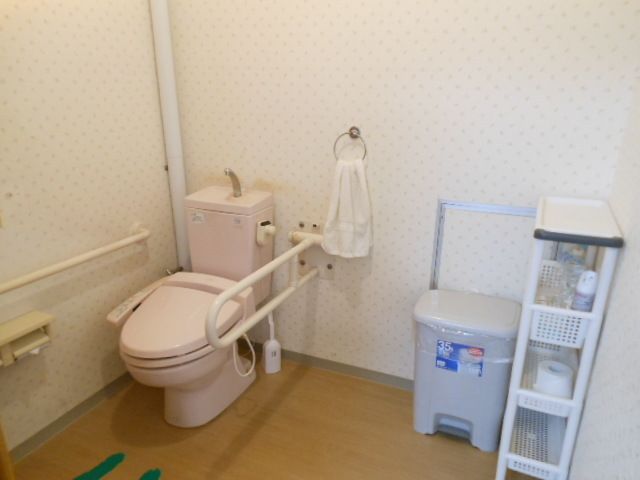 トイレは広く足の位置にマークがあり、手すり、ゴミ箱や棚も完備されている。