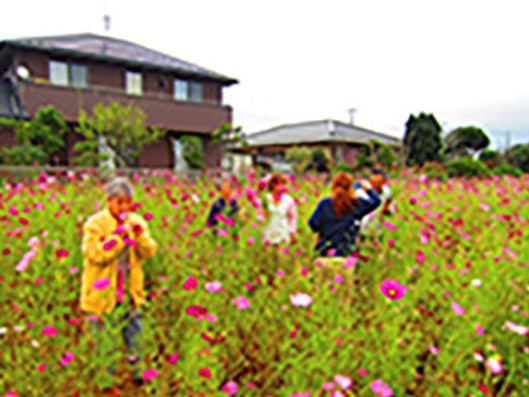 レクリエーション