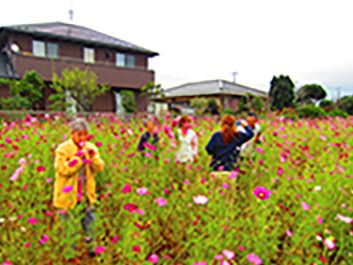 ブラウンの外壁の住宅が後ろにあり、手前には広いコスモス畑が広がっていて、入居者とスタッフ数名が楽しんでいる。