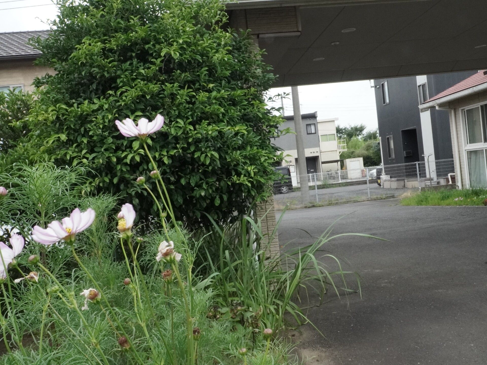 車寄せのあるグループホームの外観