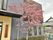 満開の桜が咲く外観