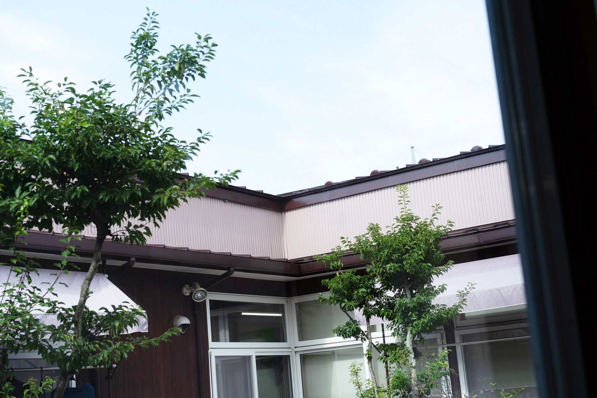 緑豊かな中庭