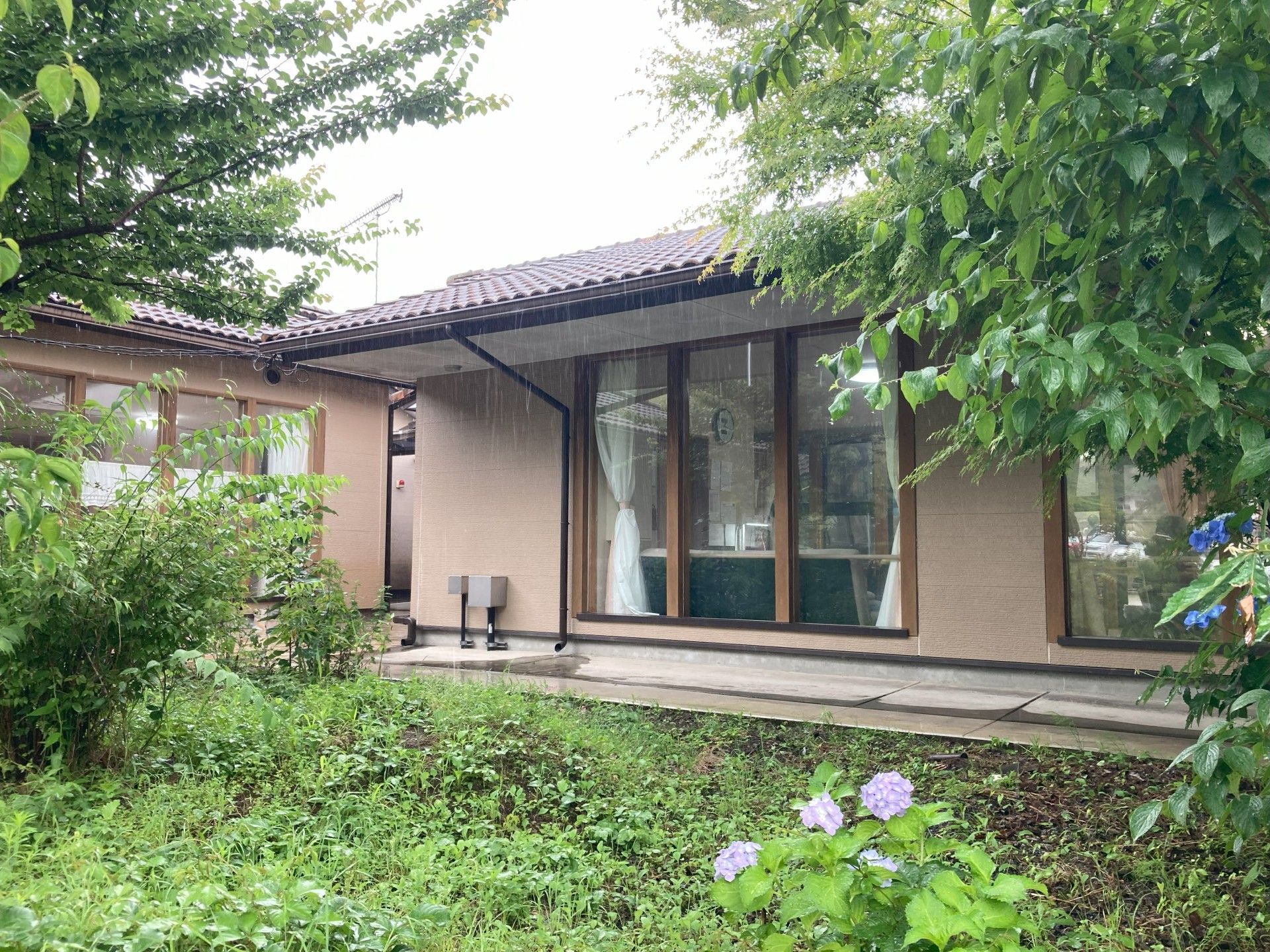 緑に囲まれた建物の一角