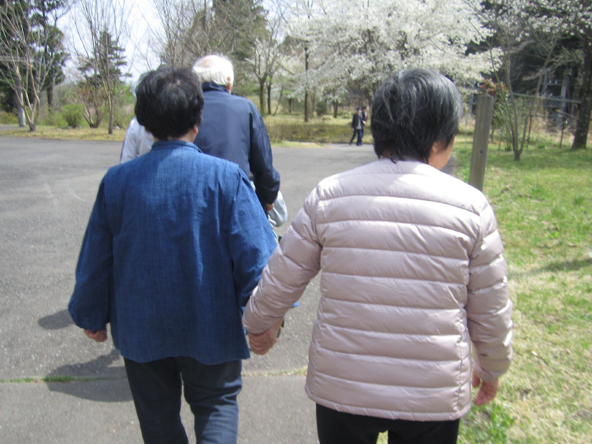 桜の花が咲く公園のような場所を散歩する入居者たち。女性入居者は手をつないでいる。
