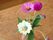 透明の丸い花瓶にさまざまな花が飾られている。白やピンクのコスモス、手まりのような丸い花が３本生けられている。