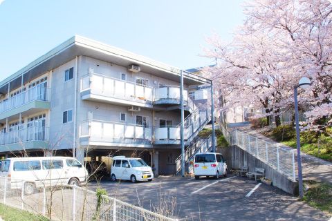桜の咲く建物外観