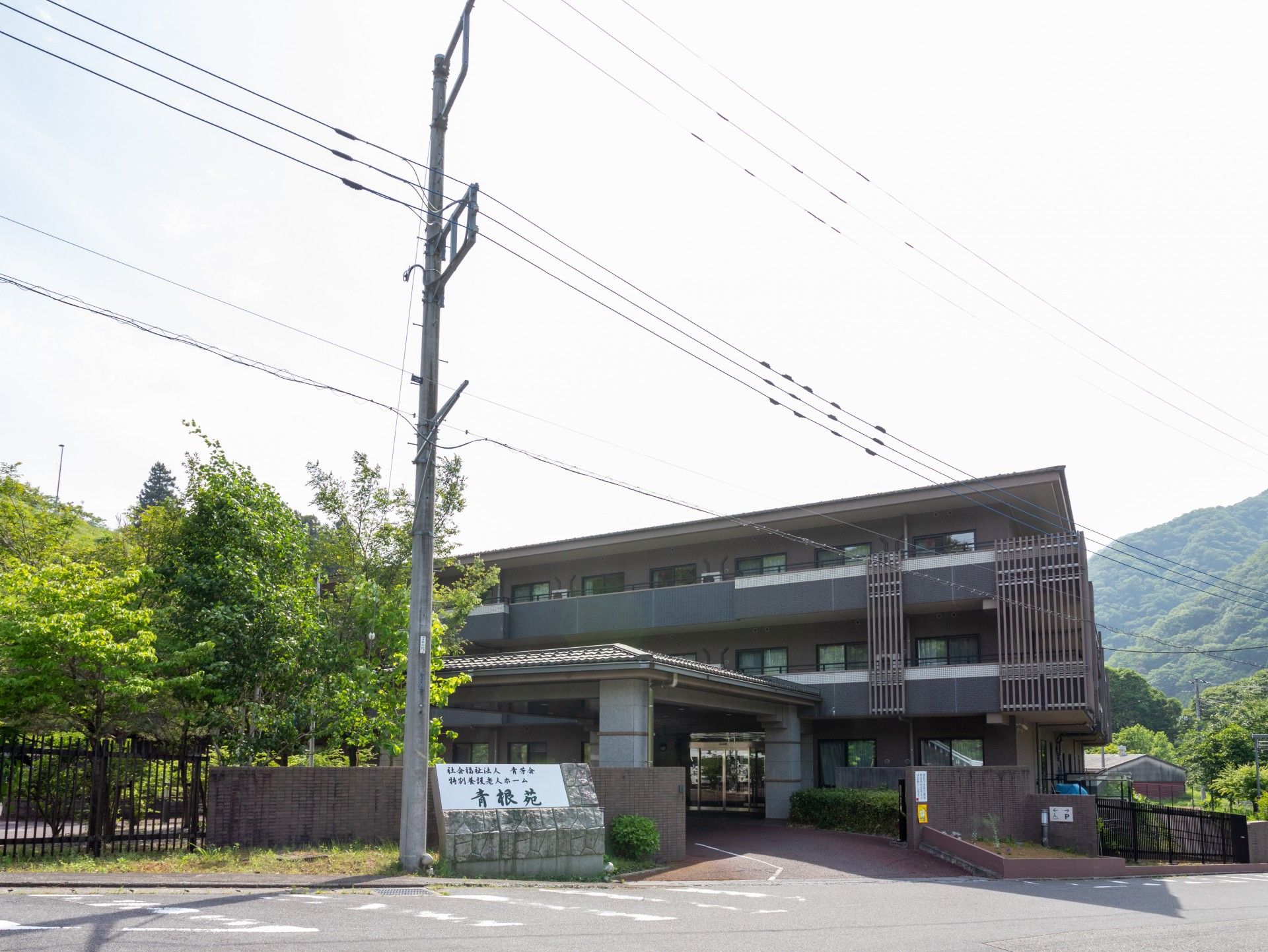 緑に囲まれた建物の外観