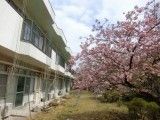 桜並木のある施設外観