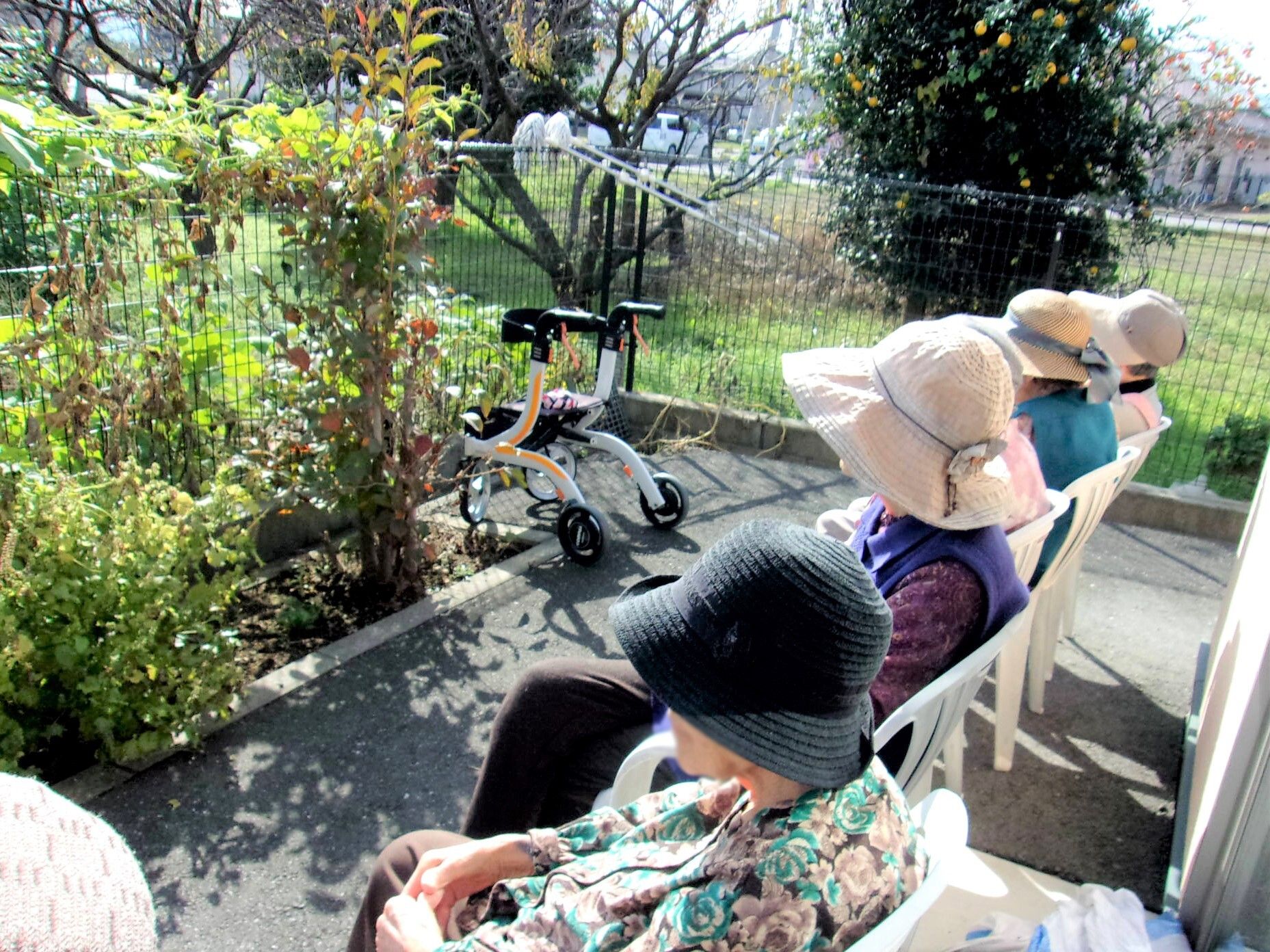 日当たりのいい芝生の上で楽しそうにおしゃべりをしている高齢の夫婦と若い女性スタッフ。