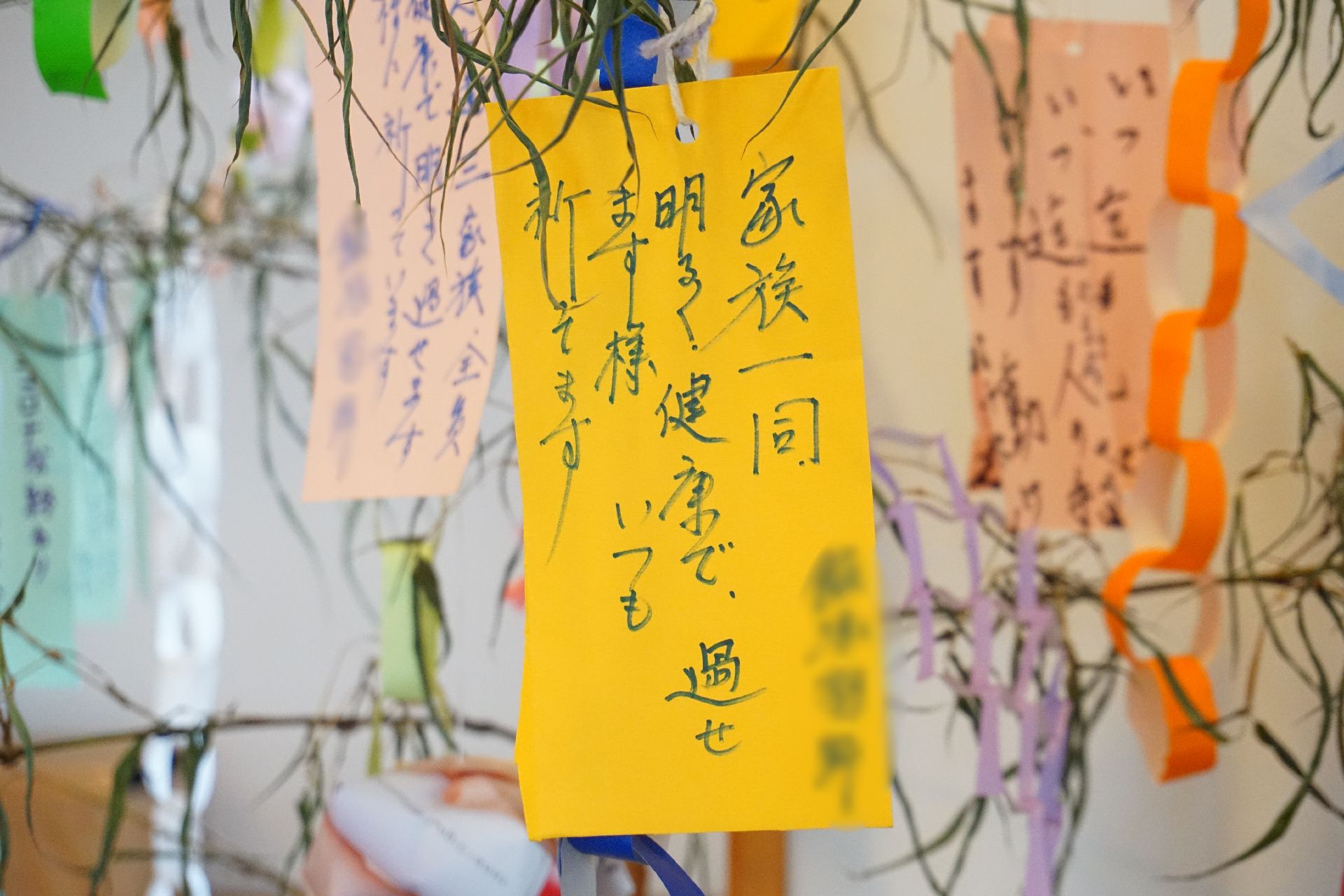 七月に合わせて館内に飾られている七夕の竹と入居者が書いた短冊