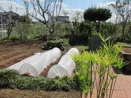 きれいに畝が作られた菜園には小さなビニールハウスも建てられ、ウッドデッキのようなスペースもある。