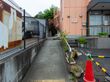 トゥルーケアGHかすみ草の写真