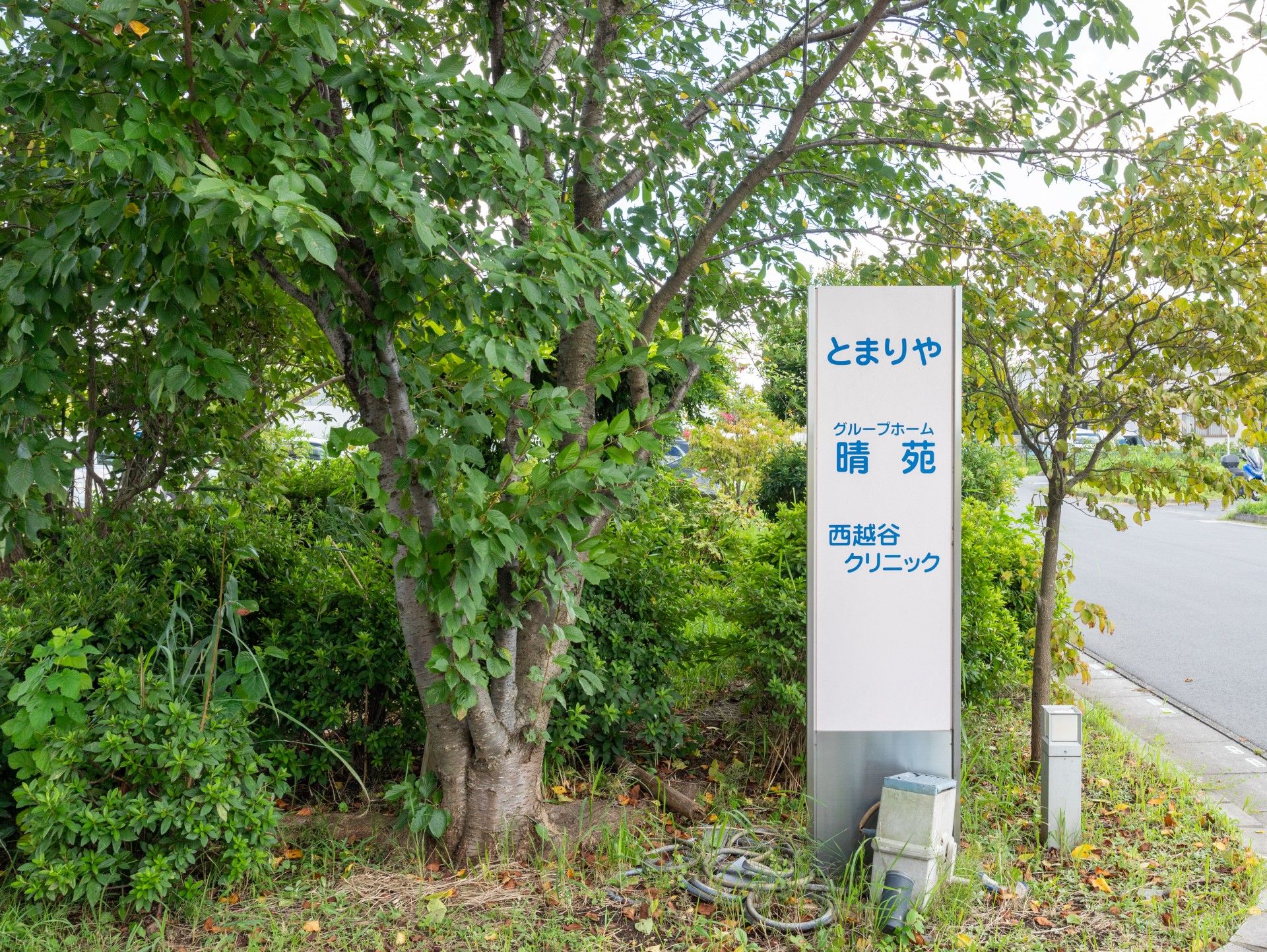 案内看板と緑豊かな樹木