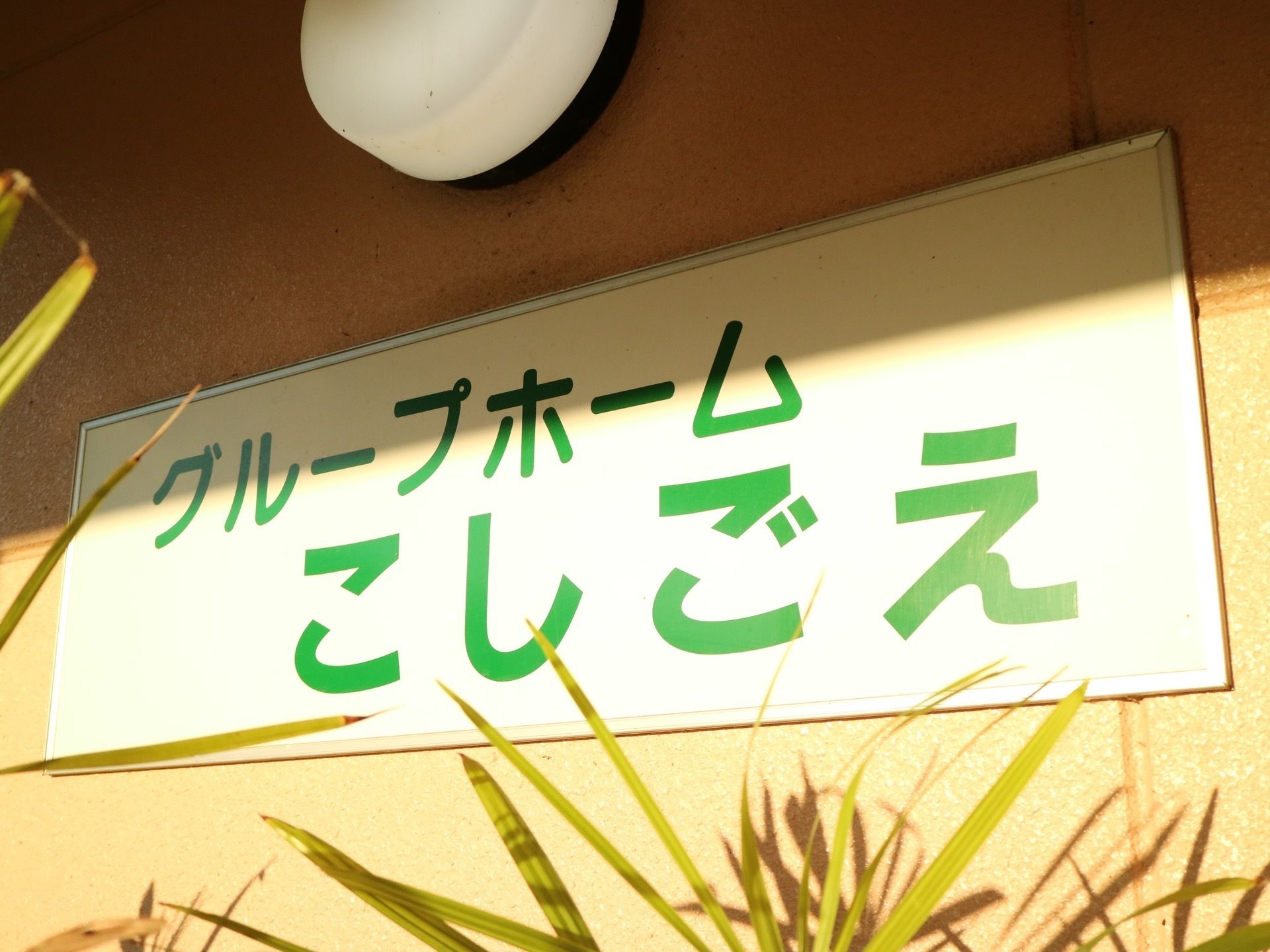 建物の壁に施設名が書かれた白い看板が取り付けられている。看板の上には照明があり、下には植物の葉っぱが見える。