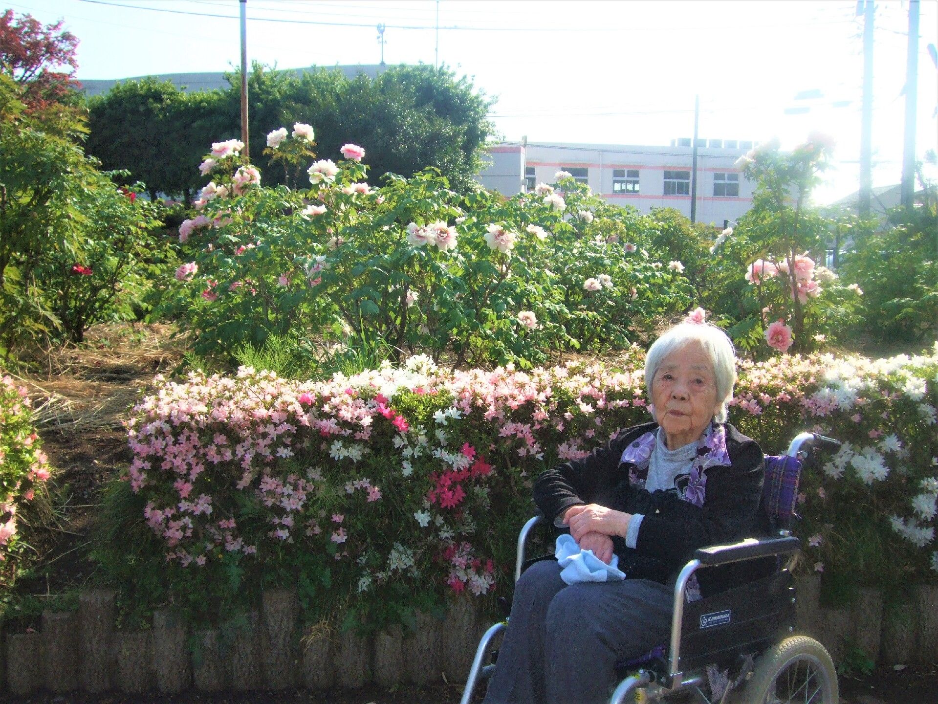 なにかを指さして笑顔で話している車いすの女性とそれを押している介護スタッフの様子