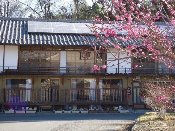 瓦屋根の建物。手前側にはピンク色の桃の花が咲いている