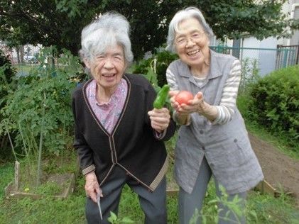幸せそうな庭の活動