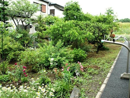 庭園