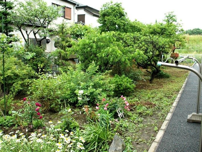 季節の草花や木々が植えられている広々とした庭園。多くの種類の植物が植えられており、鑑賞を楽しむことができる。
