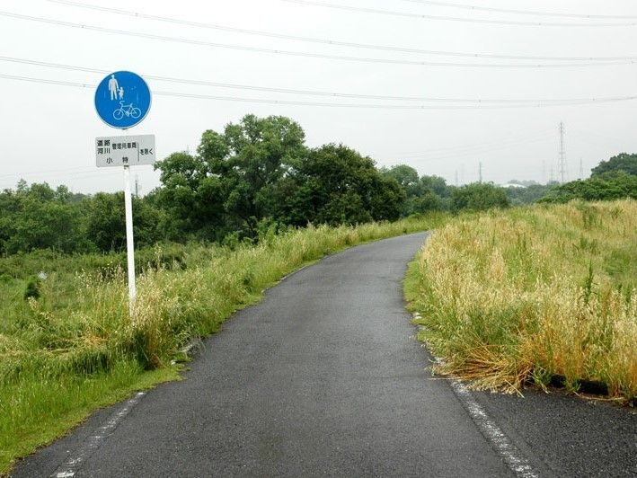 豊かな自然に囲まれている道路。自転車歩行者専用通路であるため、車との接触事故などの心配がなく、ゆったりと散歩を楽しむことができる。
