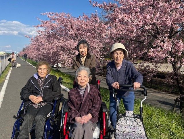 桜並木と散歩する人々