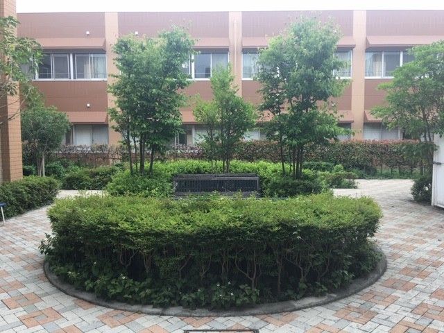 緑豊かな中庭