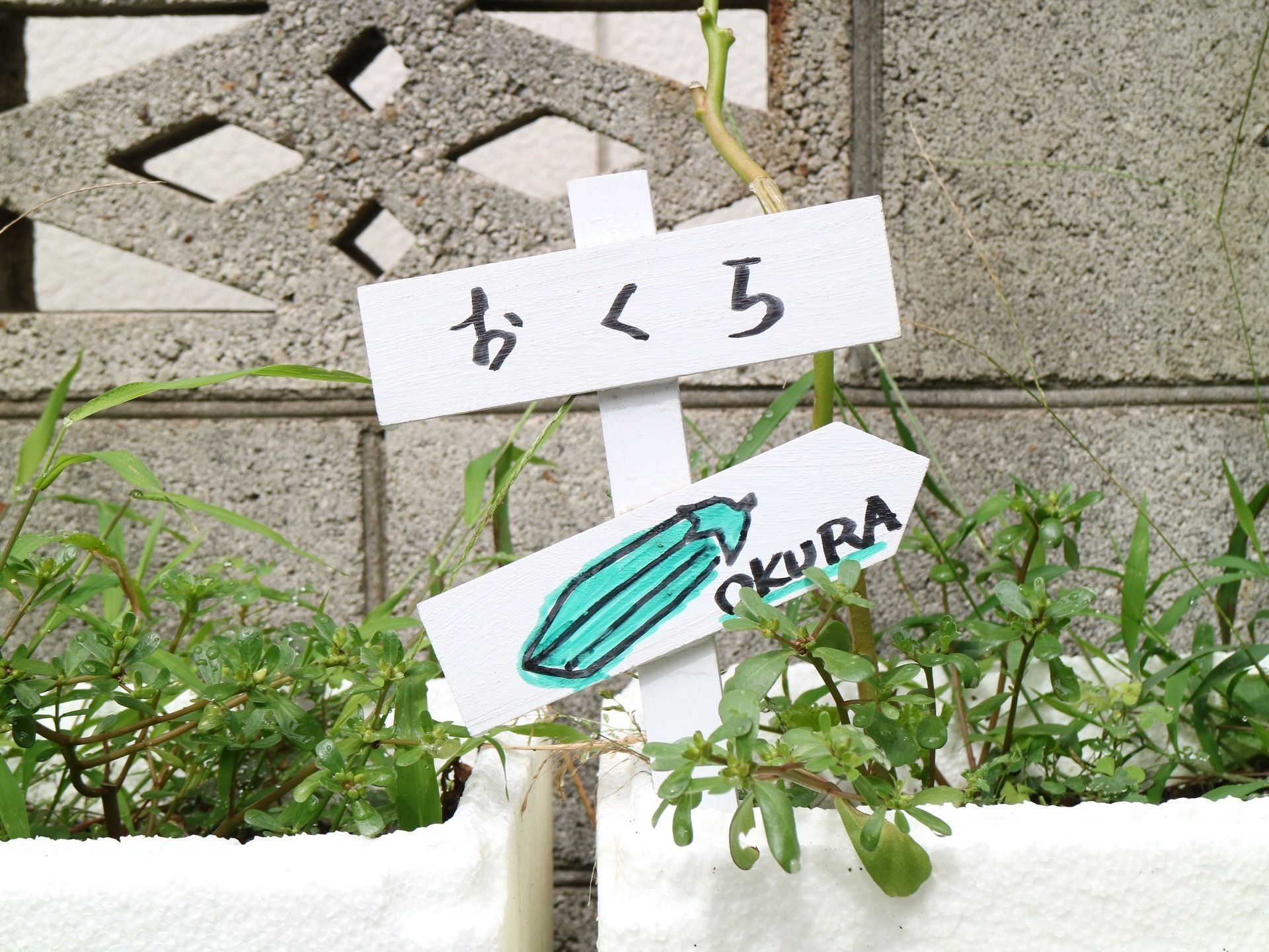 家庭菜園コーナーを設けている。さまざまな季節の野菜を育てることで、生きがいや張りのある生活を送ることができる。