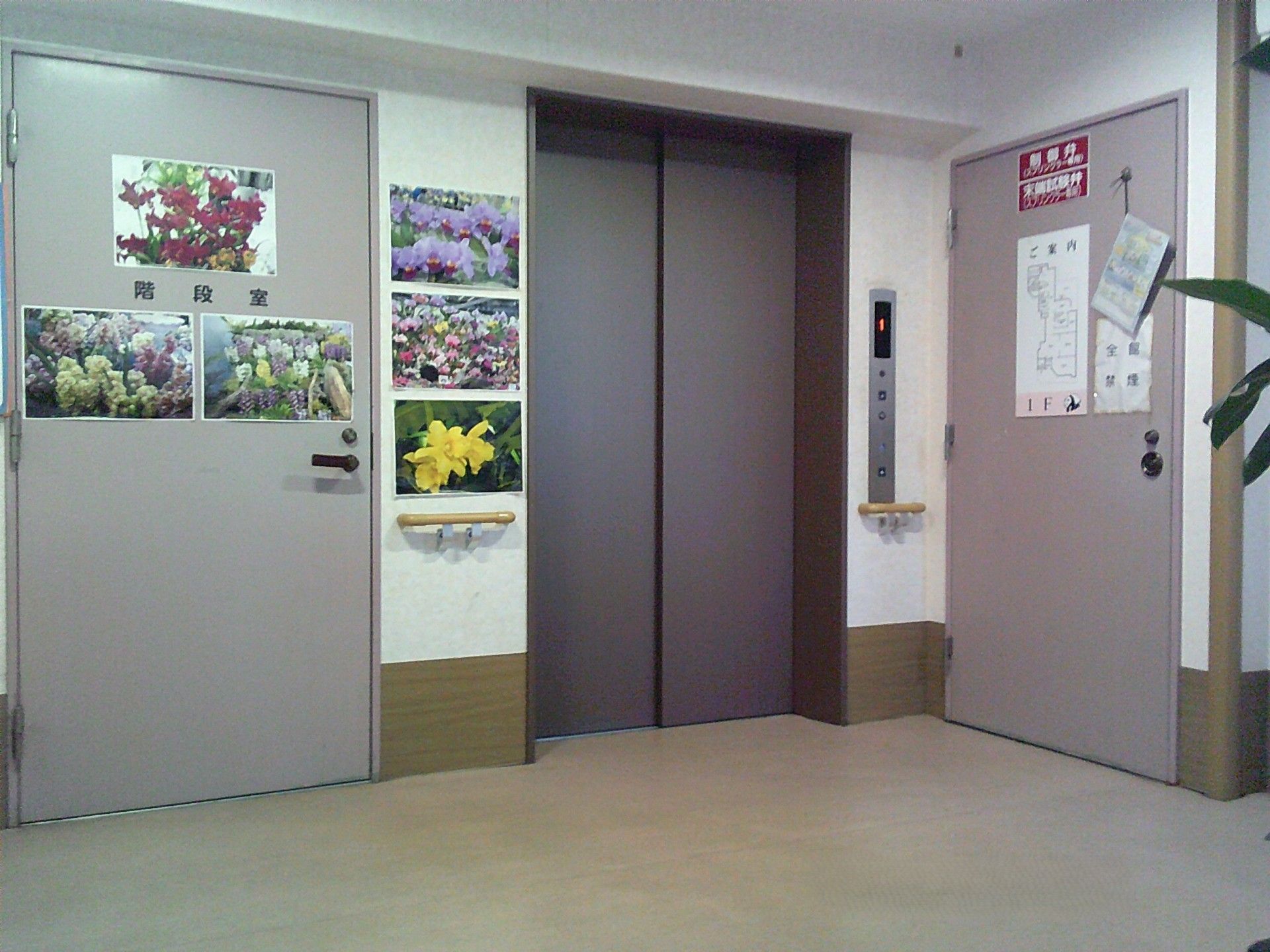 花の写真が飾られた廊下